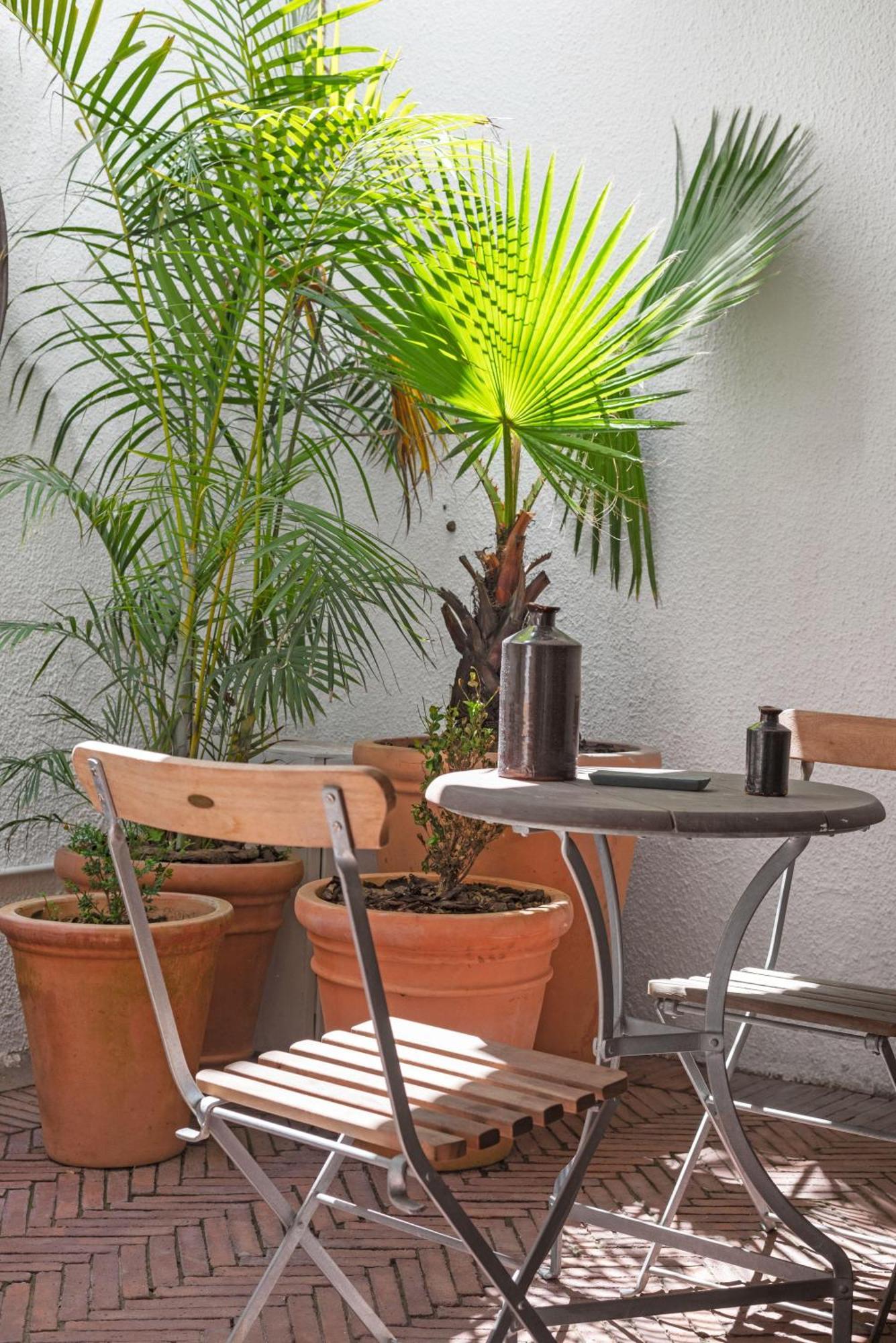 Apartment Point Charming With Patio